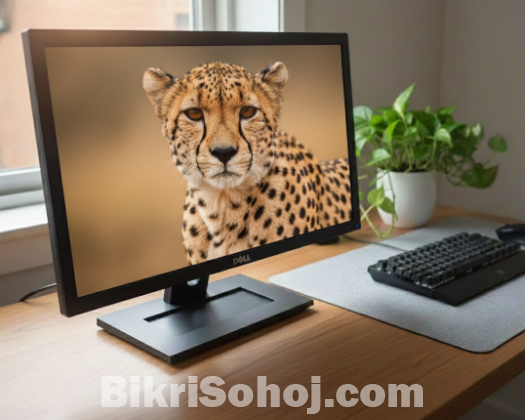 Dell e2211h 1080p FHD monitor.